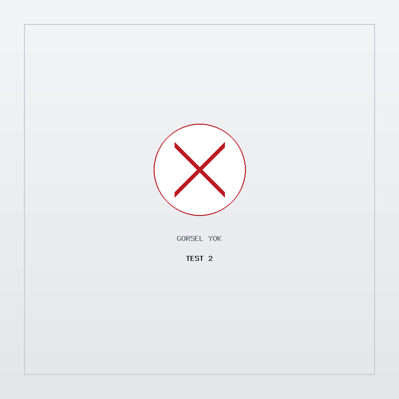 Test 2 — Görsel yok